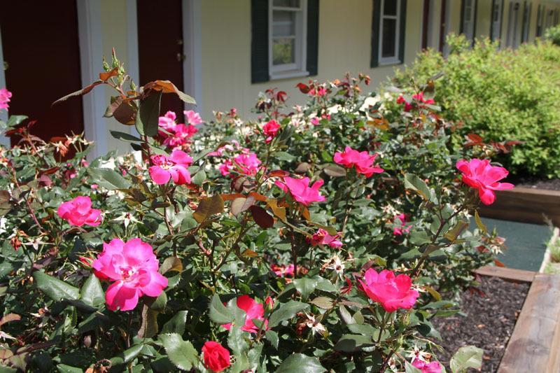 Lodge At Kennebunk Dış mekan fotoğraf